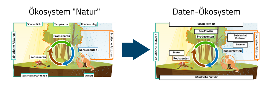 Datenökosystem erklärt am Beispiel Ökosystem Natur